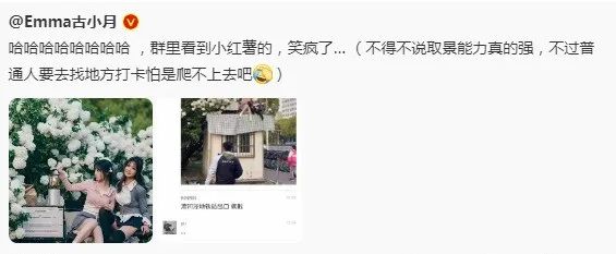 小红书,没有公德