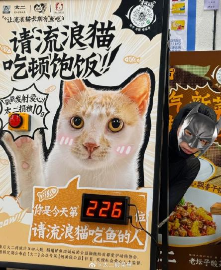 太二酸菜鱼,为何能火遍全网?