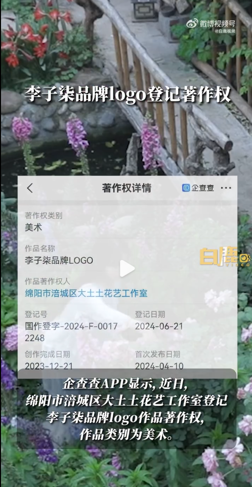 李子柒,为什么消失得这么彻底?