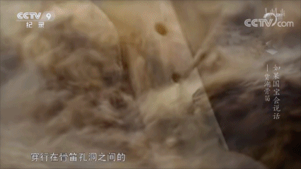 央视的神仙文案,作者找着了~