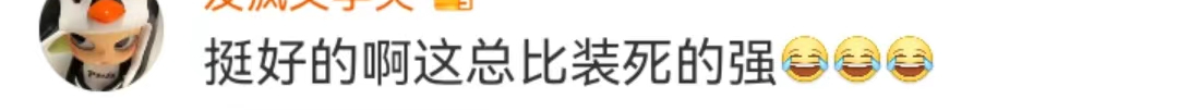 捐款2000万被骂,疯狂小杨哥惹怒了谁?