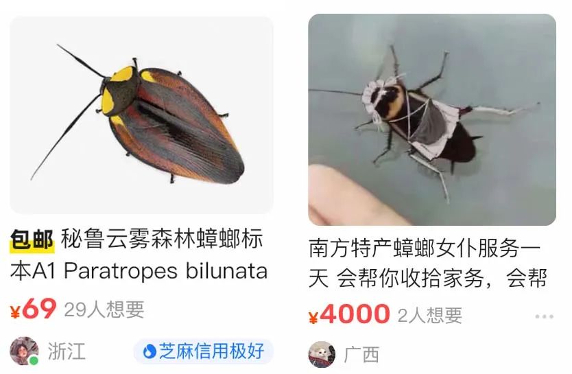 闲鱼抽奖送“蟑螂女仆”,比LV还疯!