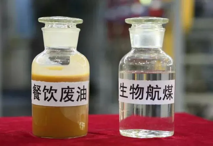 世界疯抢中国地沟油!“地沟油”生意有多赚钱?