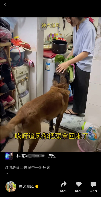 鸟哥笔记,短视频,友望数据,视频选题,抖音,微信生态,视频号,案例分析,爆款打造,抖音,视频号,抖音
