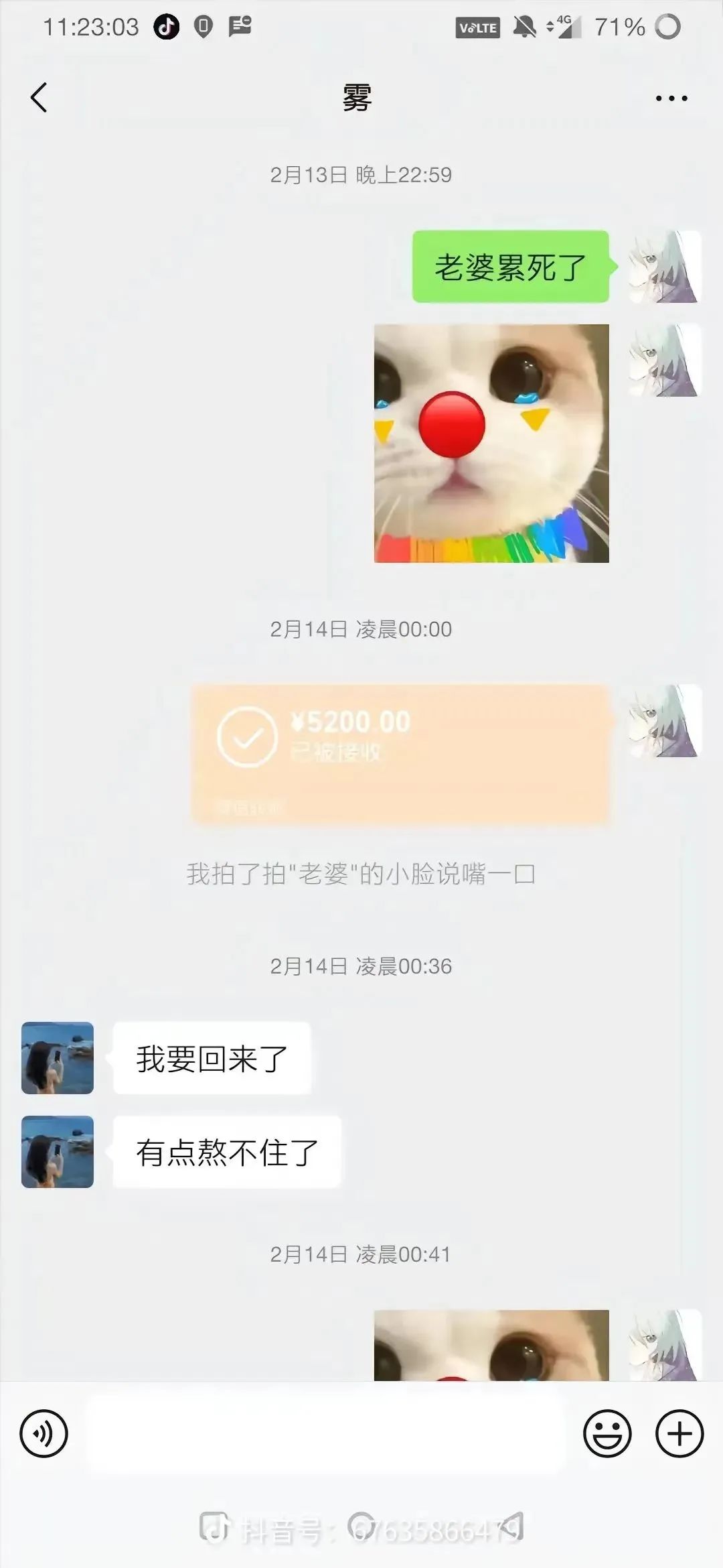 发空包祭胖猫,这些品牌门店有多离谱?