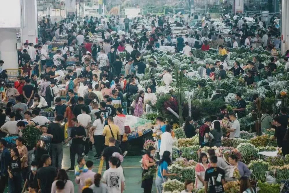 抖音电商:激发产业带活力,绽放“浪漫”生意