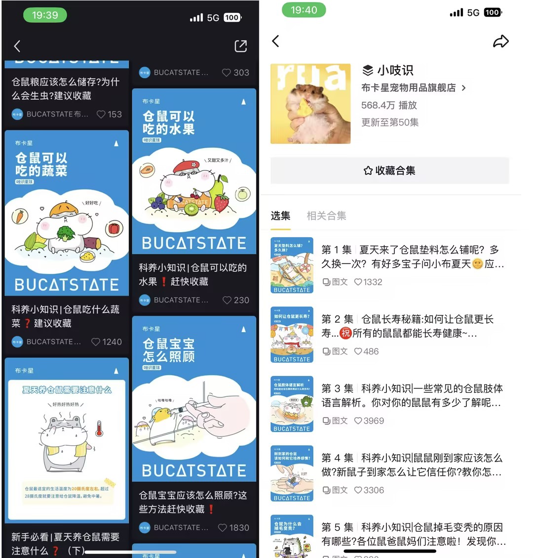 宠物界“泡泡玛特”,爆卖800万件+、复购率60%,凭啥?