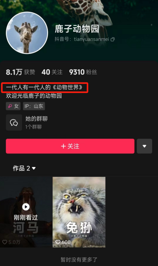 1个月涨粉超300万,这届年轻人有自己的《动物世界》