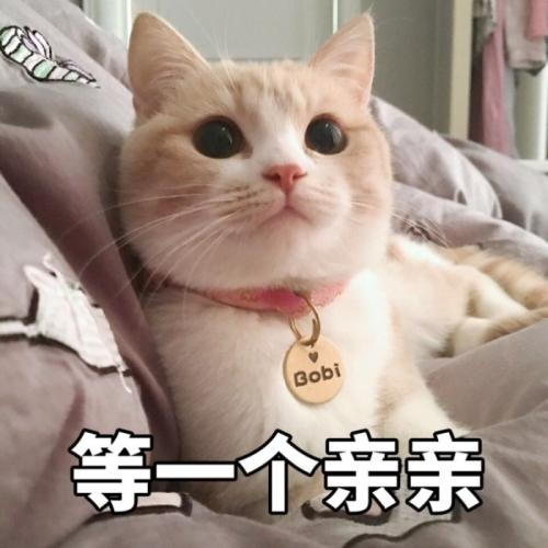 WechatIMG295.png