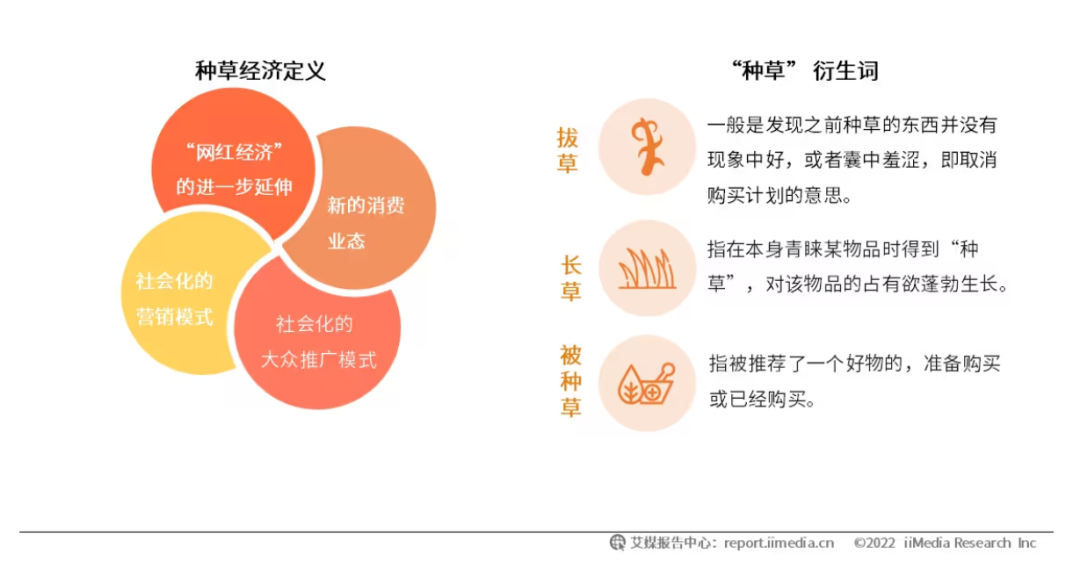 为什么说今年双11驱动好生意的是&ldquo;星推搜直&rdquo;？