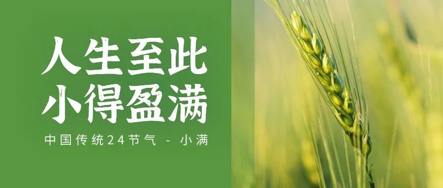 2022年不能遗漏的42句好文案