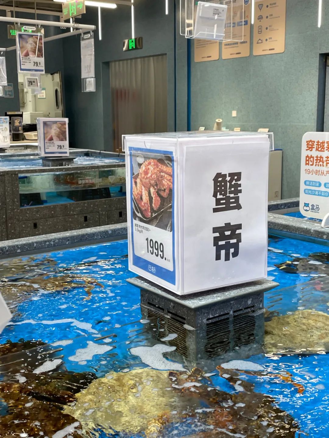 “8个瑞士卷”炸出全网娇妻,盒马商战赢麻了!