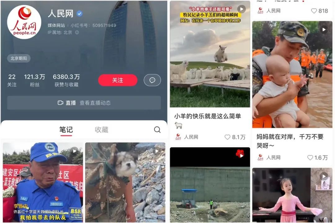 小红书涨粉最快的素人，凭什么是她？
