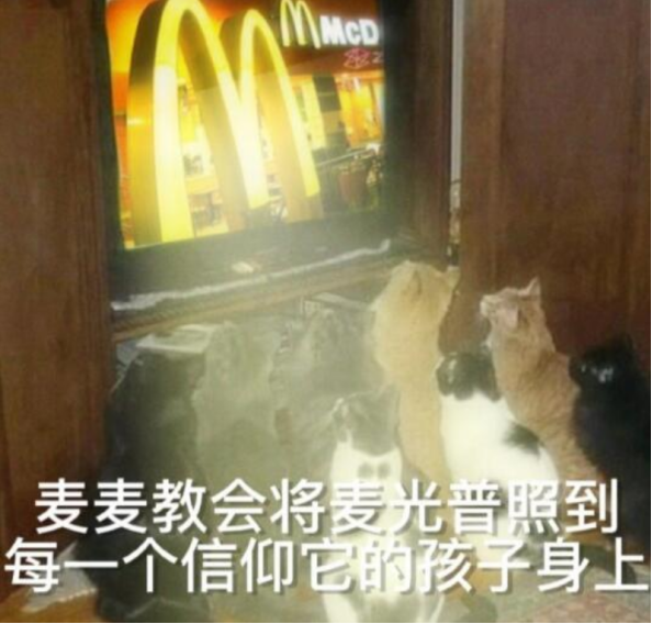 “麦门文学”火了,越看越上头