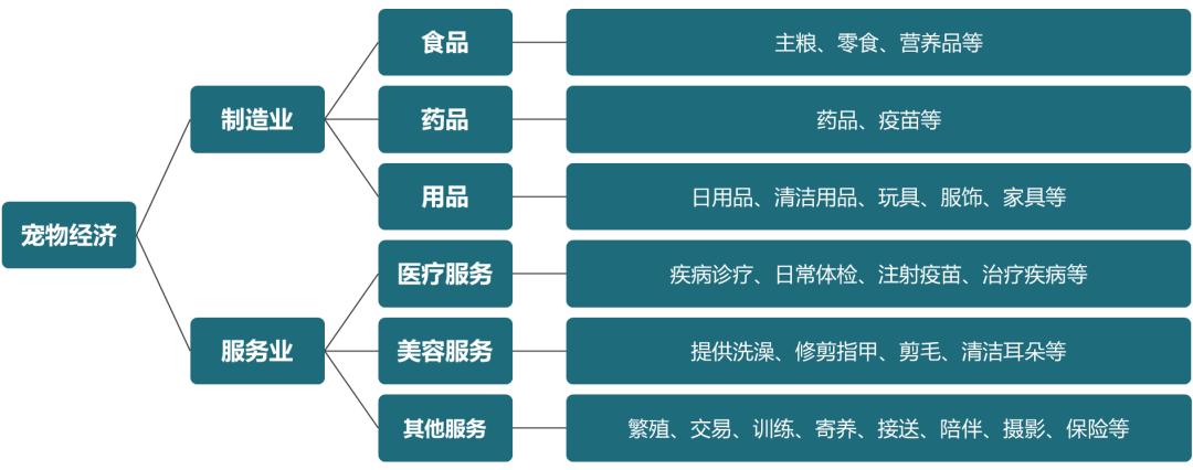 从国外代工到“中国第一”,麦富迪依托品牌势能崛起