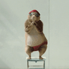 40.gif