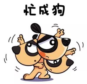 “有理有据”的年度调薪