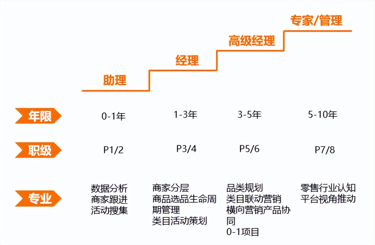 店铺运营是做什么的(解读商家运营的职业成长)