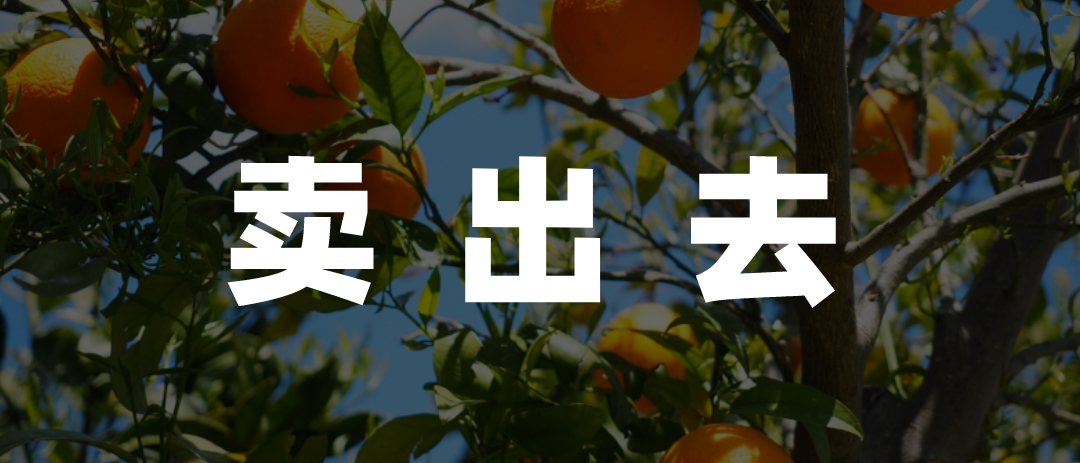 数字时代，农民的&ldquo;赛博致富经&rdquo;是什么？