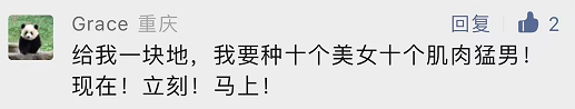爆梗不断的评论区,品牌营销的新场域