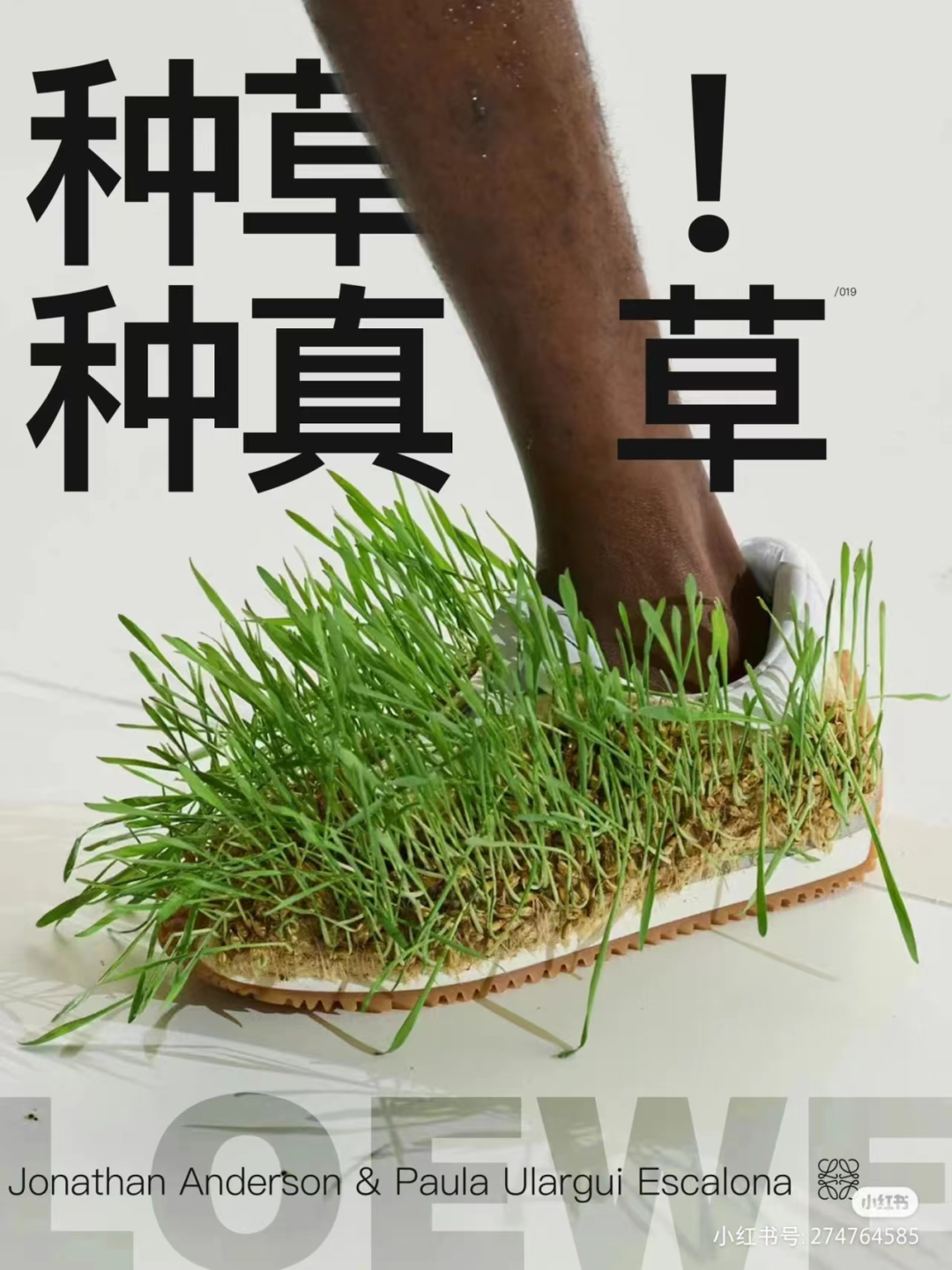 张颂文的“草”被设计成鞋?太费“香港脚”了