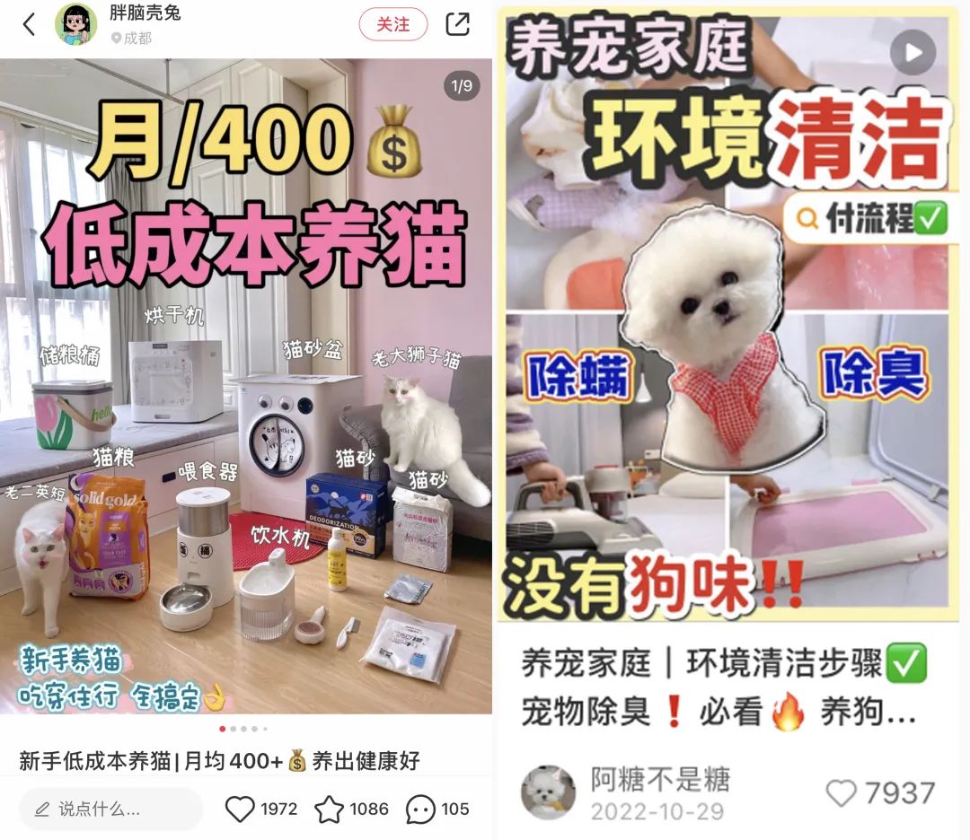 宠物赛道近期小红书种草趋势！怎么做才有转化有传播？