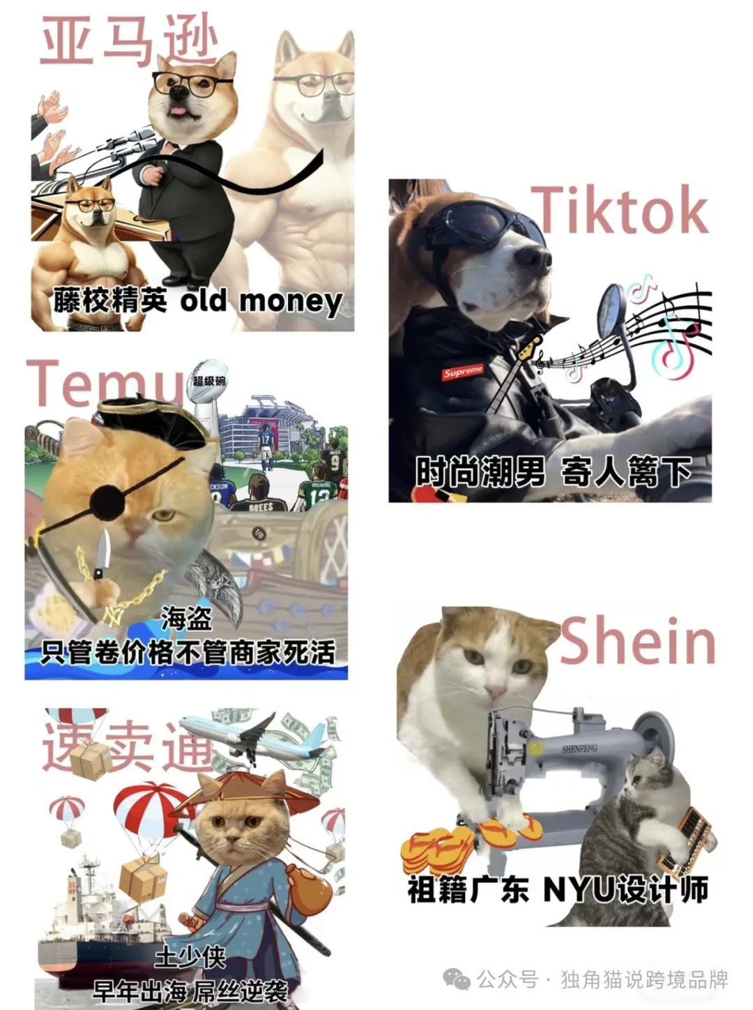 行情这么差,到底怎么做品牌?