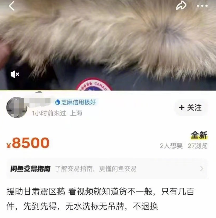​加拿大鹅&ldquo;壕捐&rdquo;甘肃灾区，却没鸿星尔克待遇？