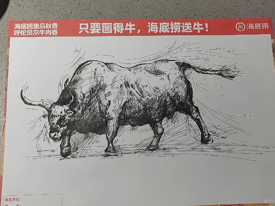 画牛得牛,海底捞真牛!