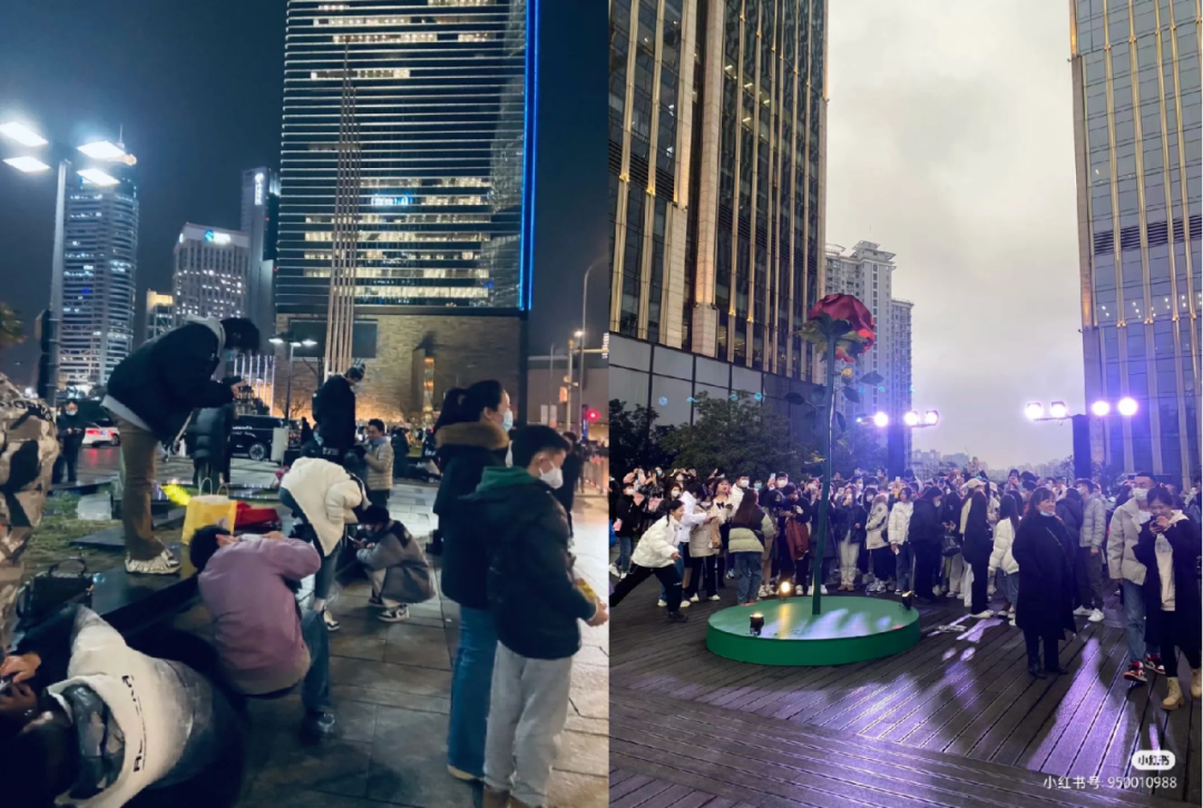 上海武康路郁金香陷&ldquo;诈骗门&rdquo;？城市营销别太离谱了
