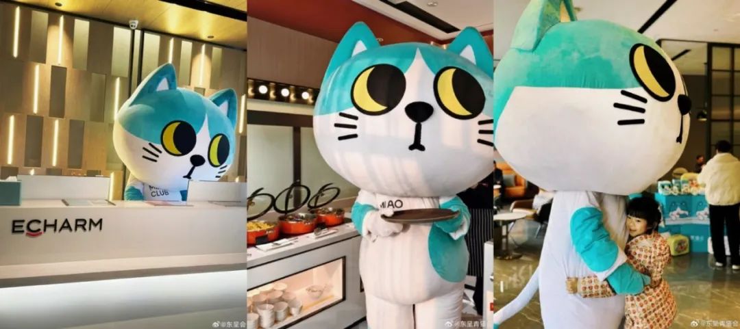 酒店如何让年轻人上头?先“吸猫”!