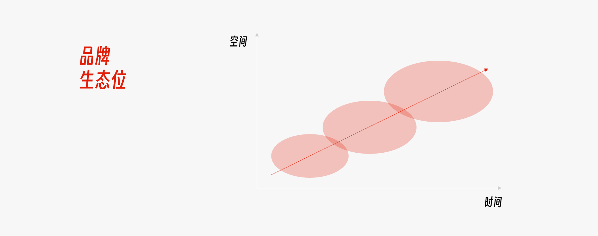品牌生态位