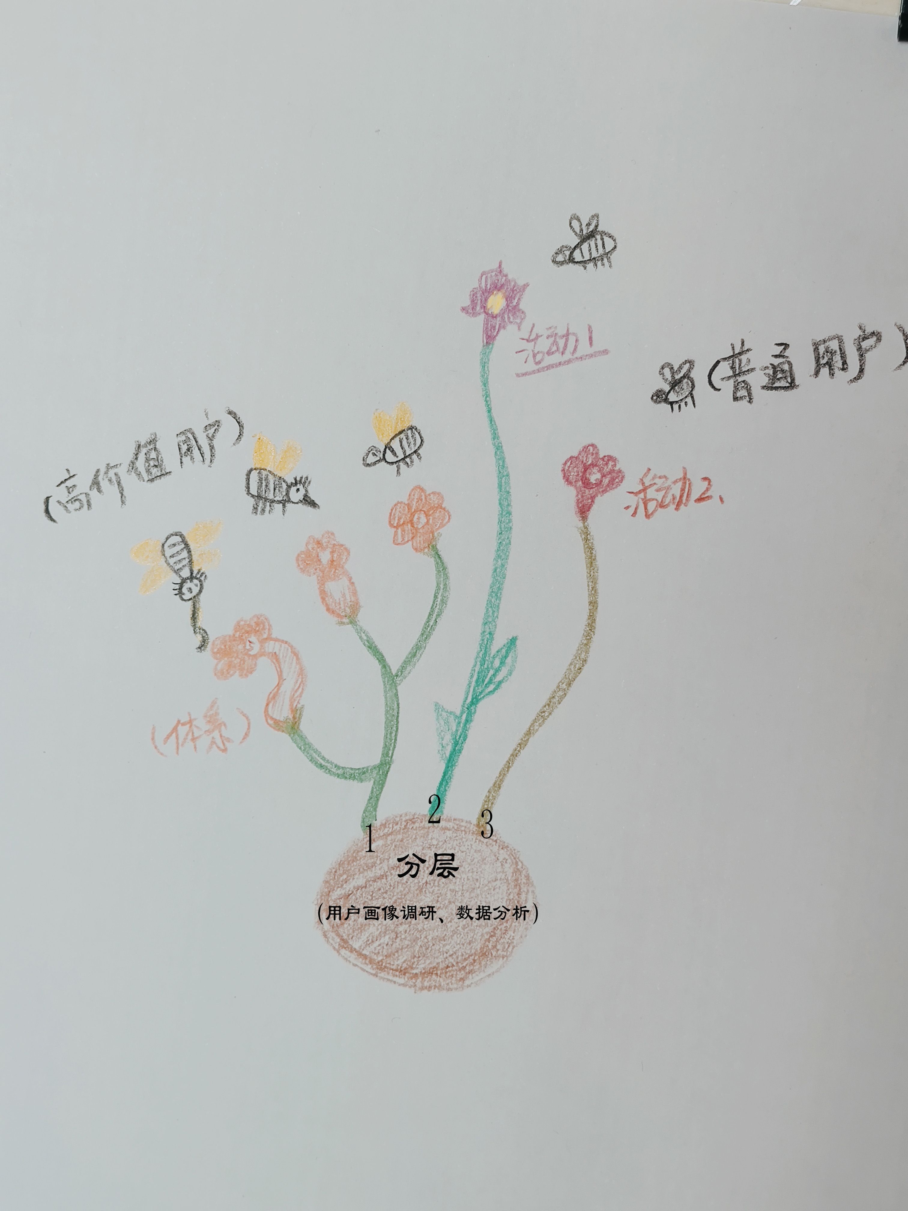 用户运营关系.jpg