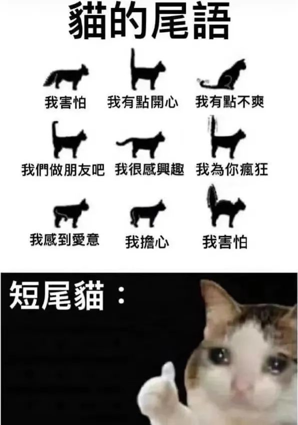 文案火锅14。