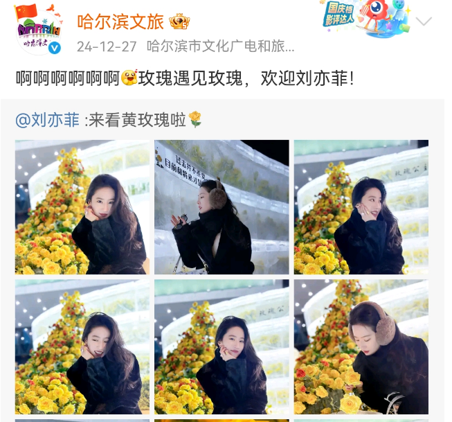 刘亦菲一觉醒来天塌了,全国文旅宣传越来越癫!