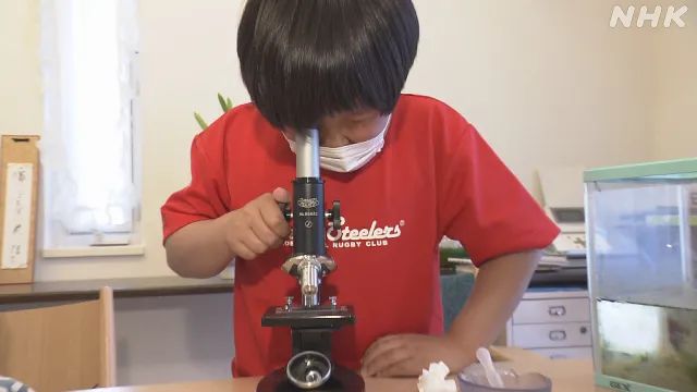 日本9岁小学生暑假租600㎡地，学会了种田，实现吃米饭自由！网友：动手能力比我强1000倍！
