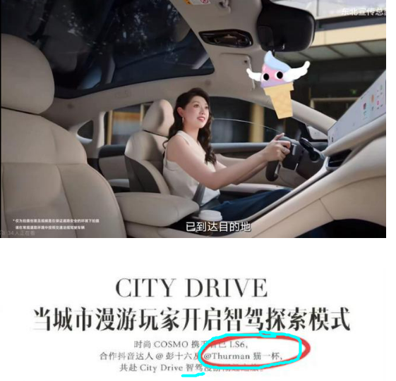 “秦朗丢作业””1条视频赚55万,网红猫一杯自吹YSL圣罗兰设计师,啃菜叶子爆红