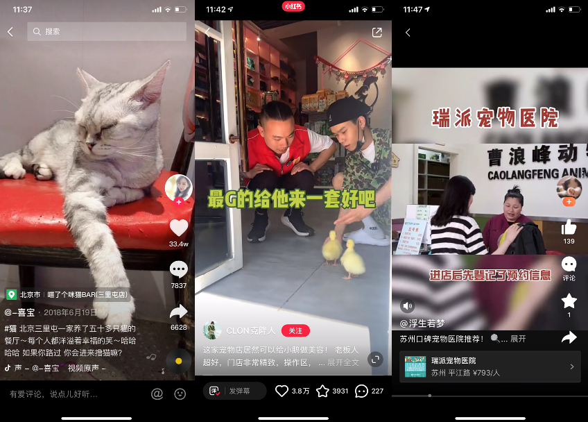 图片 图片
