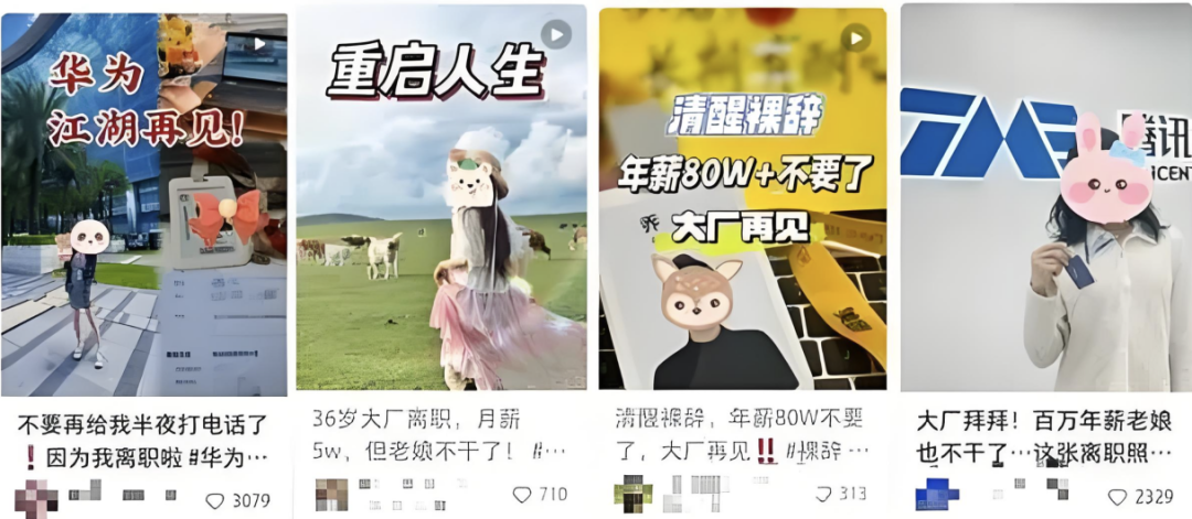 不愿回流上班,离职博主们不断寻找新的“栖息地”
