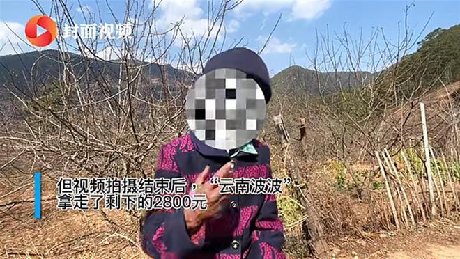 抖音多个月入百万的&ldquo;可怜人&rdquo;被封杀，到底怎么回事？