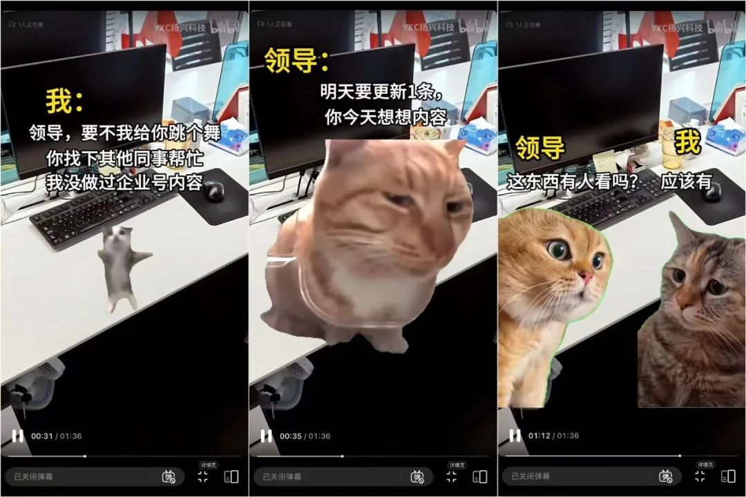 霸榜三平台，猫meme&ldquo;踩中&rdquo;三大爆款要素