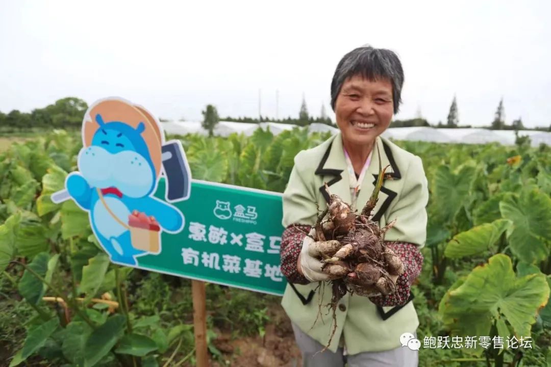 盒马的商品力打造,对超市企业转型带来哪些启示?