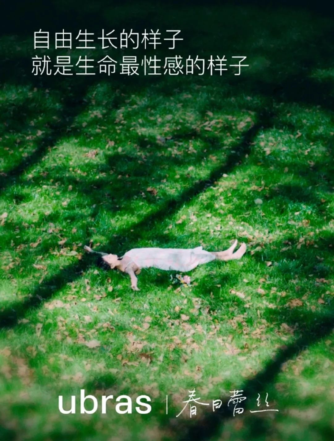 2024年,我心中最好的24句文案