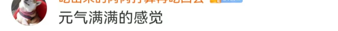 找他拍广告,元气森林“疯”了?