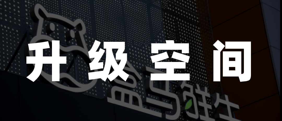 IPO这件事,盒马和市场都没准备好