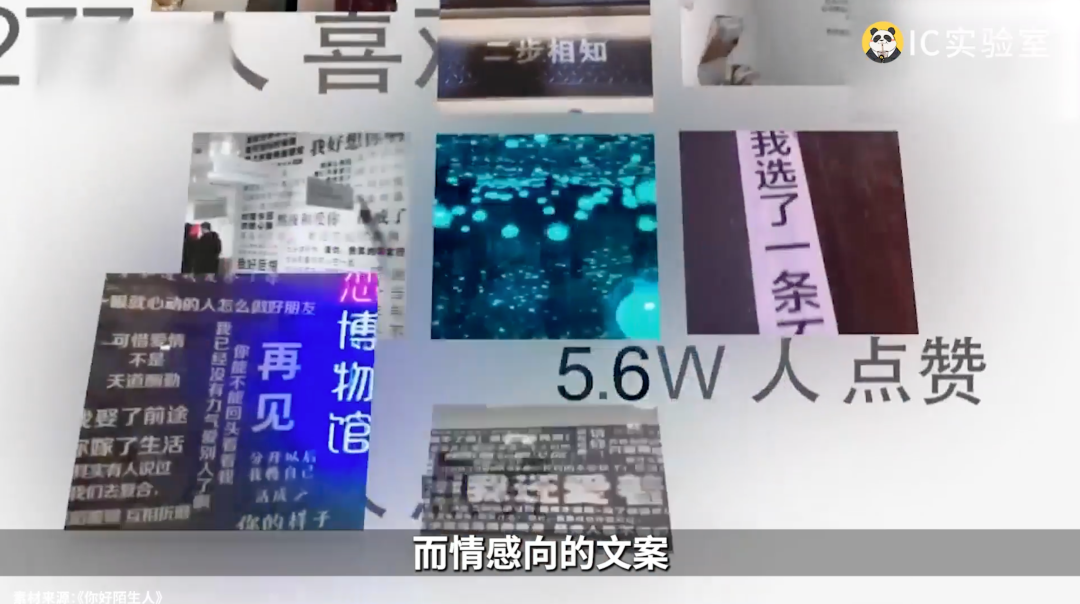 网红打卡点，为啥短命？